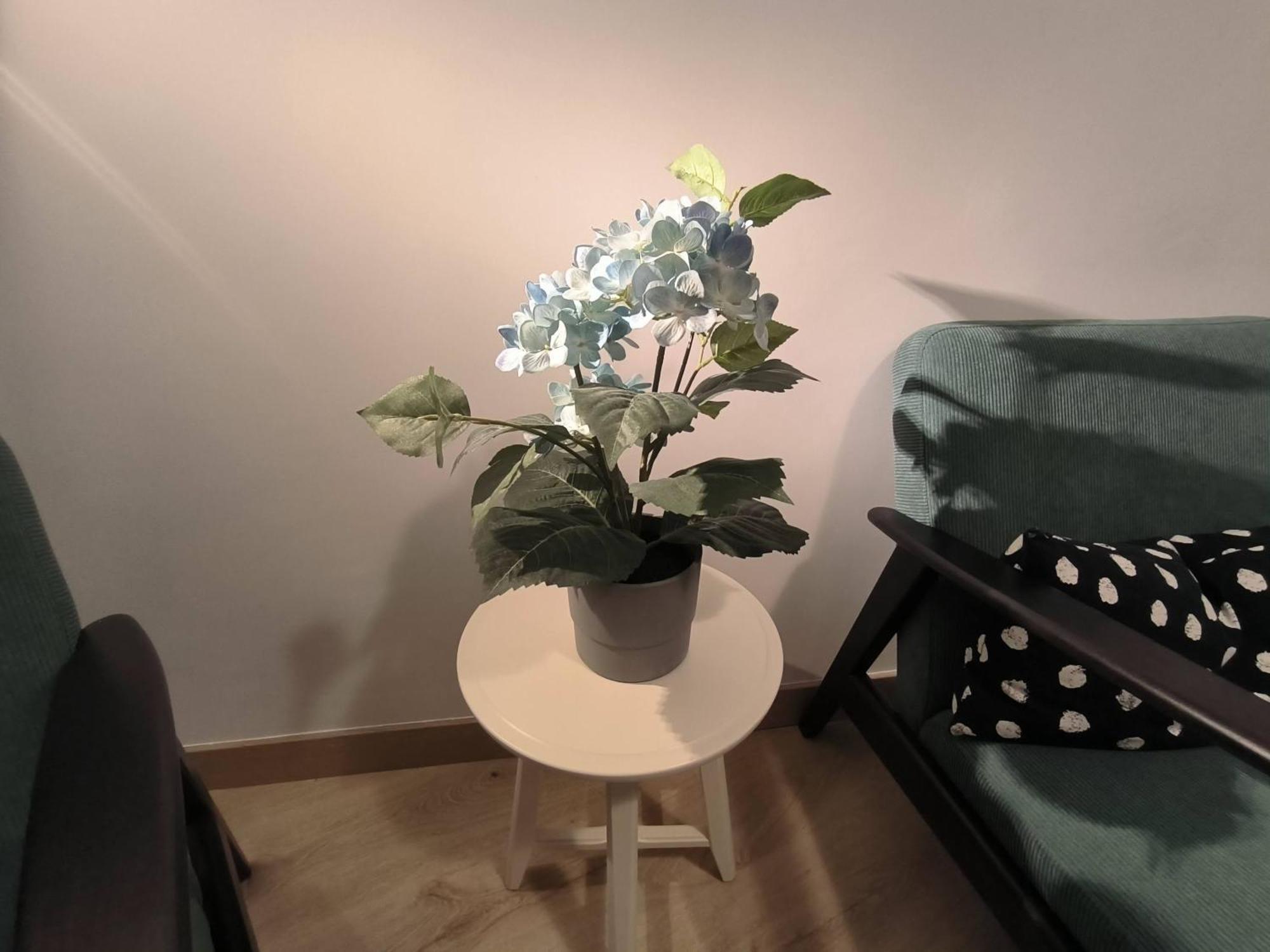 Apartamento Zabala Conoce Bilbao Desde Dentro Экстерьер фото